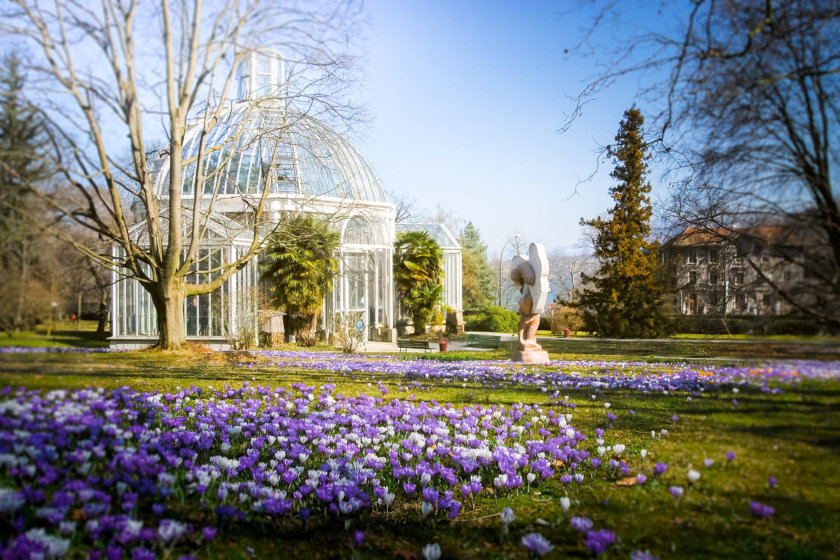 Geneva botanical garden