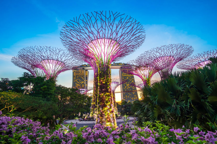 Supertree Singapour